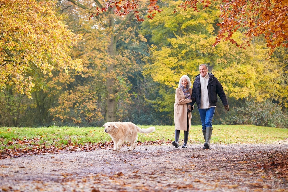 A senior couple takes their dog for a walk in the park.