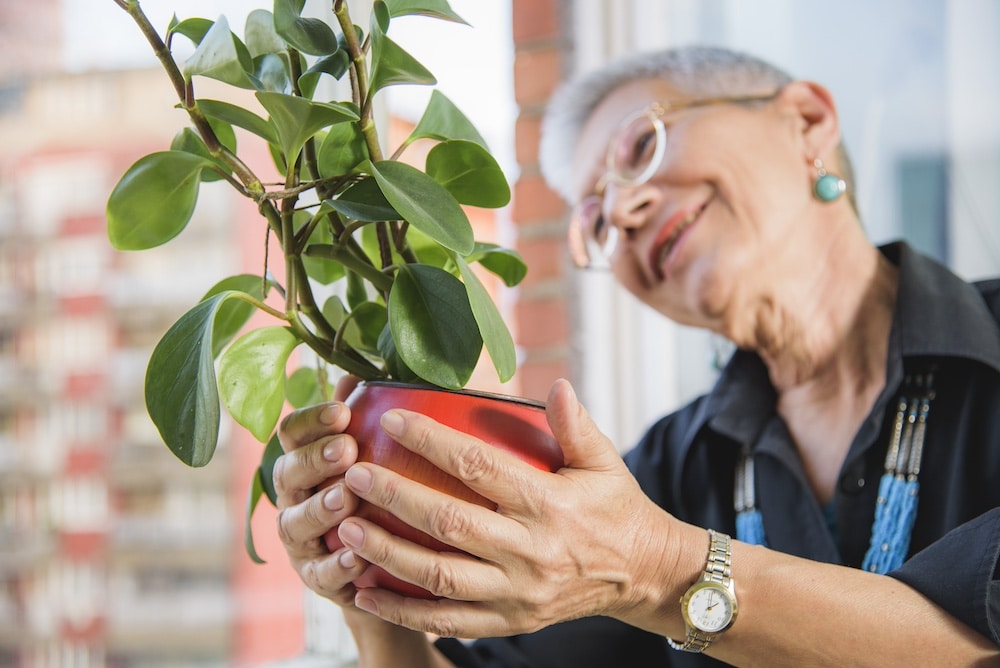 A senior woman tending to her indoor plants